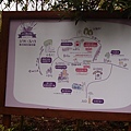 P3120520.JPG