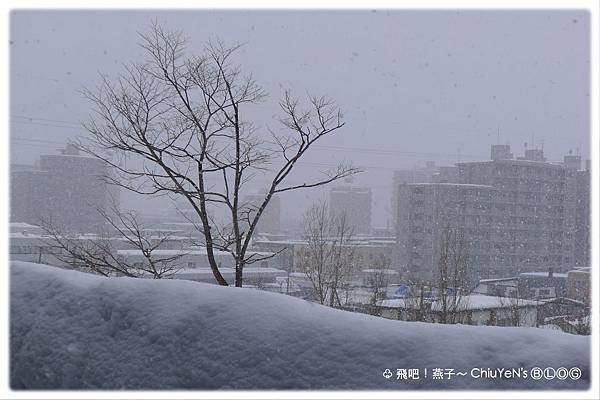 Day2-札幌巨蛋-又下雪了