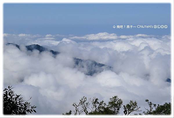 雪霸國家公園-雲海.jpg