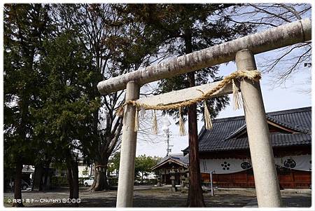 長野松本神社03