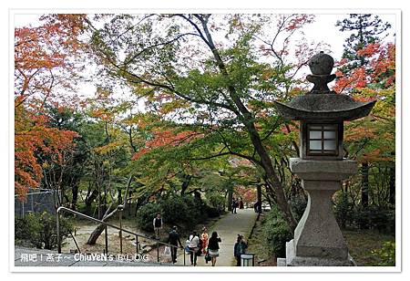 1109-竈門神社00.jpg