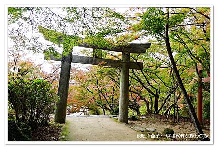 1109-竈門神社05.jpg