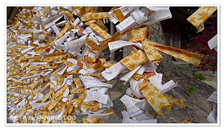 1109-竈門神社022.jpg