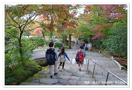 1109-竈門神社025.jpg