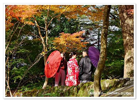 1109-竈門神社026.jpg