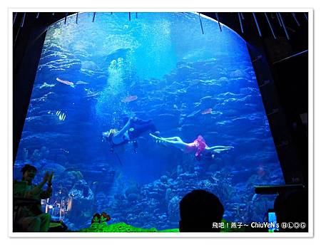 Day2釜山水族館09.jpg