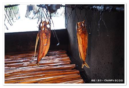 1023伊娜飛魚-09.jpg