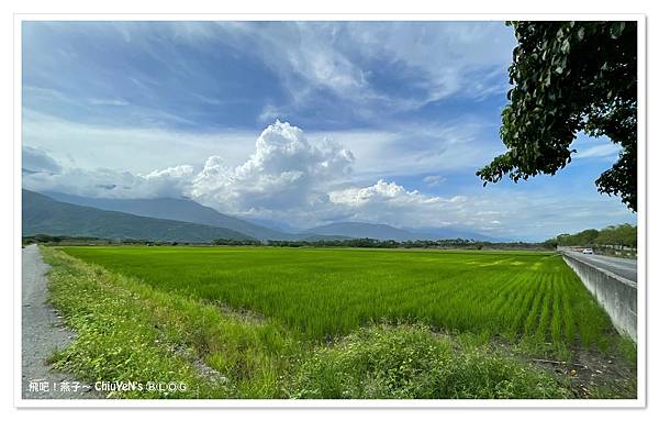 1110905-04-玉里193線愛心樹05-大禹六號橋.jpg