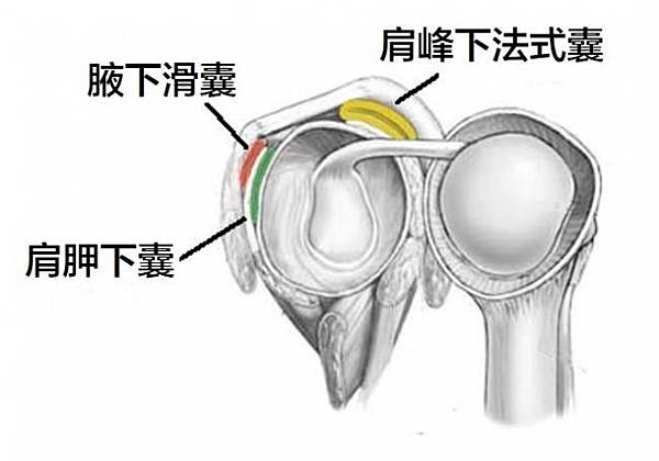 atl_20190325161719_104.jpg atl_20190325161719_104.jpg