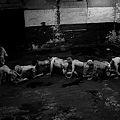 人形蜈蚣2 圖The Human Centipede II01.jpg