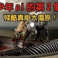 (慎入!)少年pi的奇幻漂流-食人島&從頭至末的隱喻恐怖真相剖析！Truth Life Of Pi-大陸翻譯影城