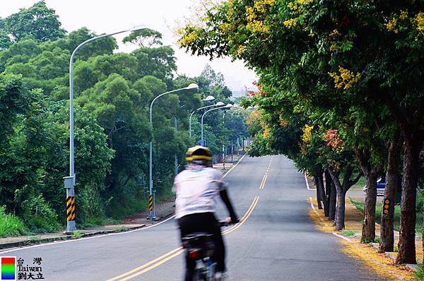 139線道路