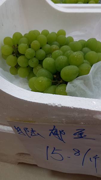 P_20160607_184956.jpg P_20160607_184956.jpg