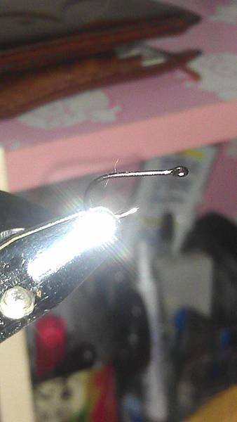 IMAG0334 IMAG0334