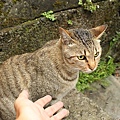 IMG_2858.JPG