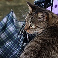 IMG_2969.JPG