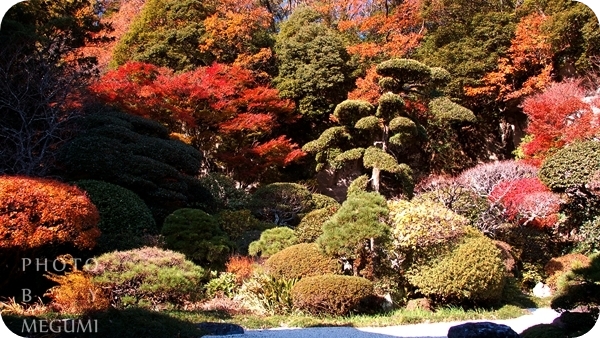 神奈川 金澤街道的報國寺知秋 鐮倉 Megumi的日本旅人塾 痞客邦 神奈川 金澤街道的報國寺知秋 鐮倉 Megumi的日本旅人塾 痞客邦