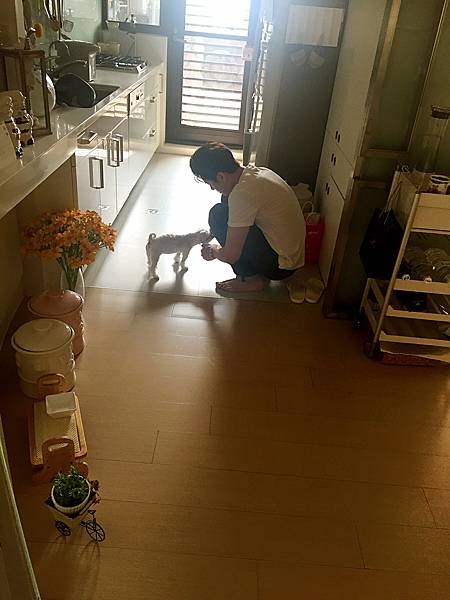 相片 2017-9-22 09 45 55.jpg 相片 2017-9-22 09 45 55.jpg
