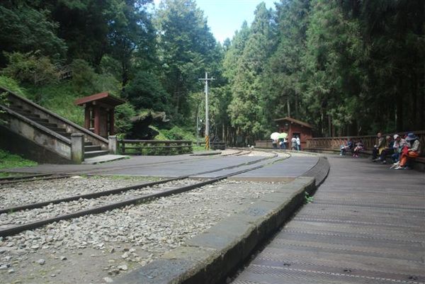 阿里山鐵軌