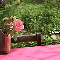 園區內供用餐的桌上都有擺放黃、粉玫瑰