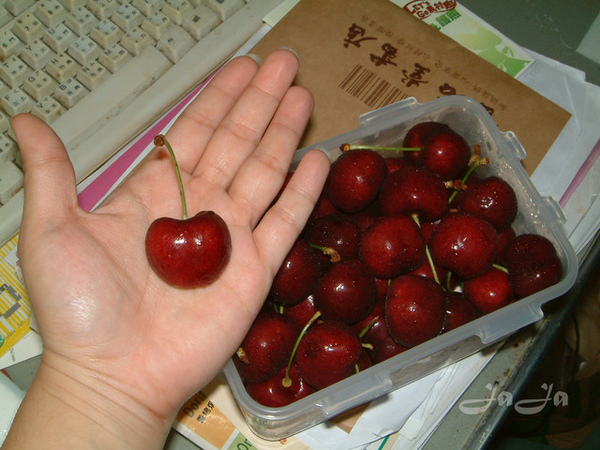 cherry 4