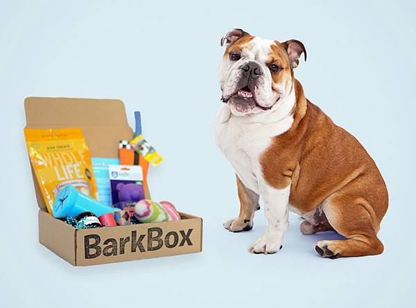 BarkBox.jpg