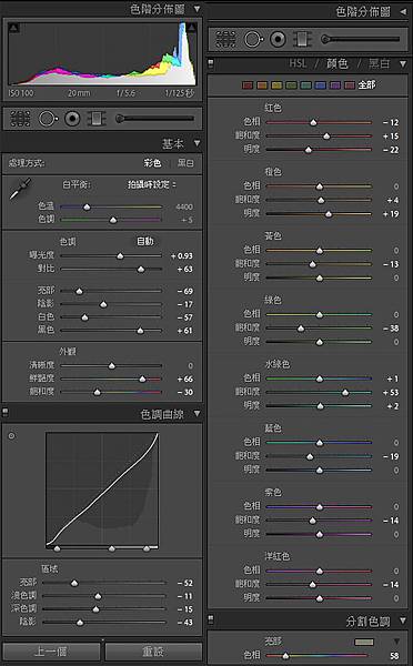 艾森-內湖向日葵-顏色檔1.jpg