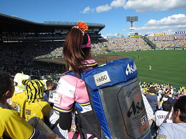 2015京都大阪0606-甲子園 (208-1.jpg