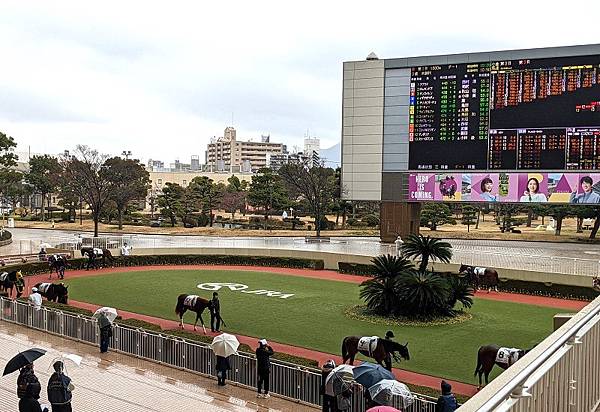 [遊記] 福岡北九州市小倉競馬場 日本賽馬賭馬初體驗！小倉賽