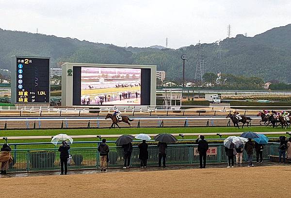 [遊記] 福岡北九州市小倉競馬場 日本賽馬賭馬初體驗！小倉賽