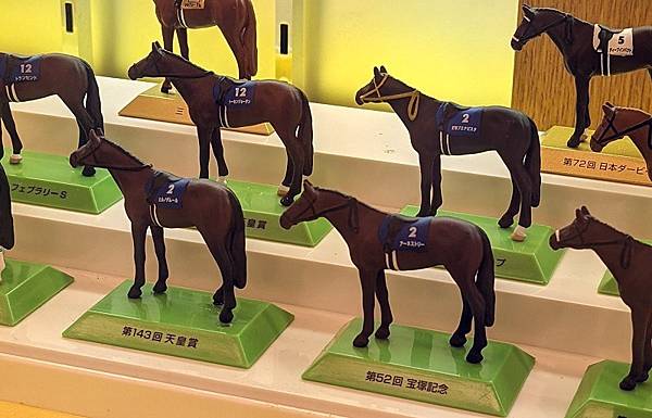 [遊記] 福岡北九州市小倉競馬場 日本賽馬賭馬初體驗！小倉賽