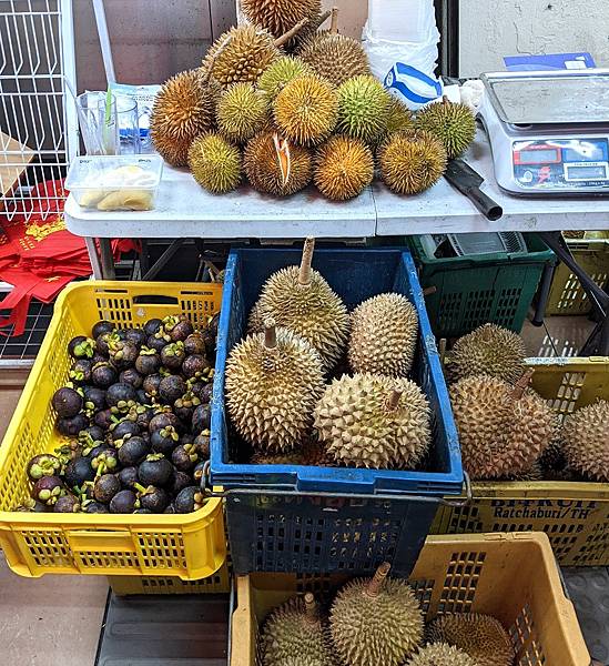 [遊記] 2024沙巴亞庇家族親子旅遊Day 2紀錄心得,麥