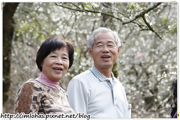 2011-01-09 信義鄉烏松崙賞梅花、梅子夢工場園區021.JPG