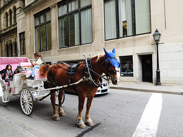 canada montreal