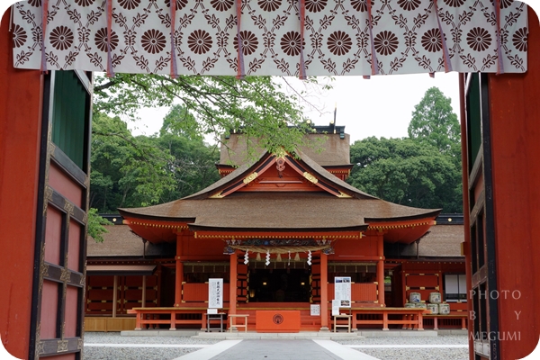 高田富士祭/富士塚/富士山紙鈔/富士山本宮淺間大社