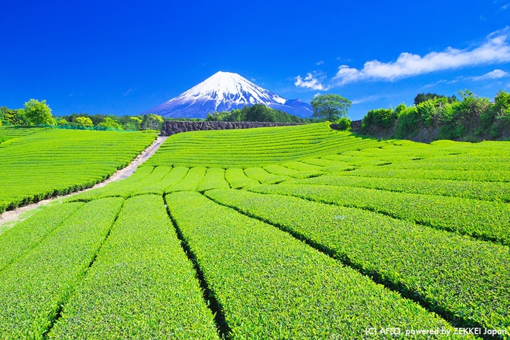 專欄 夏天就該前進富士山 周邊旅遊這樣玩 Megumi的日本旅人塾 痞客邦