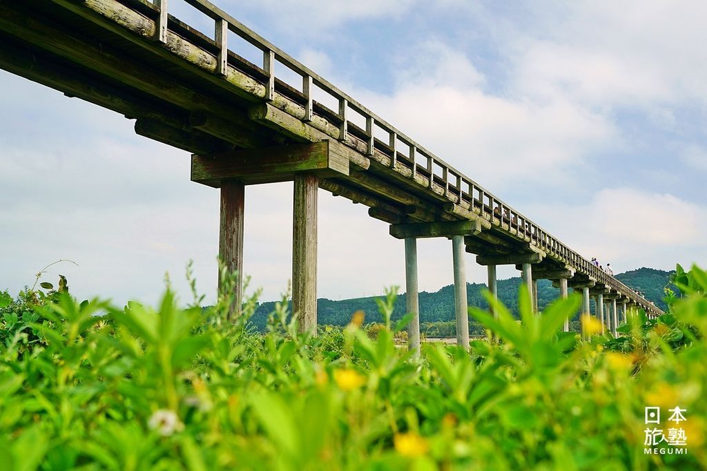 静岡 到蓬萊橋與富士絶景 静岡茗茶浪漫相逢 Megumi的日本旅人塾 痞客邦