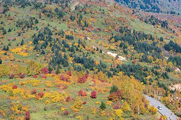 專欄 日本東北絕景之秋 岩手 紅葉絕景10選 Megumi的日本旅人塾 痞客邦 專欄 日本東北絕景之秋 岩手 紅葉絕景10選 Megumi的日本旅人塾 痞客邦