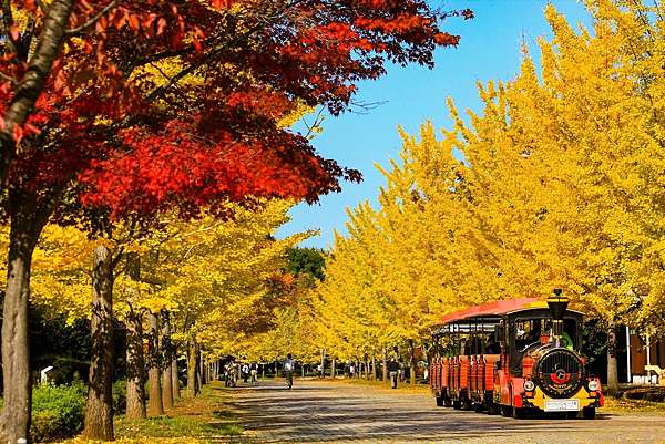 埼玉 下一站之旅 埼玉縣紅葉絕景5選 Megumi的日本旅人塾 痞客邦