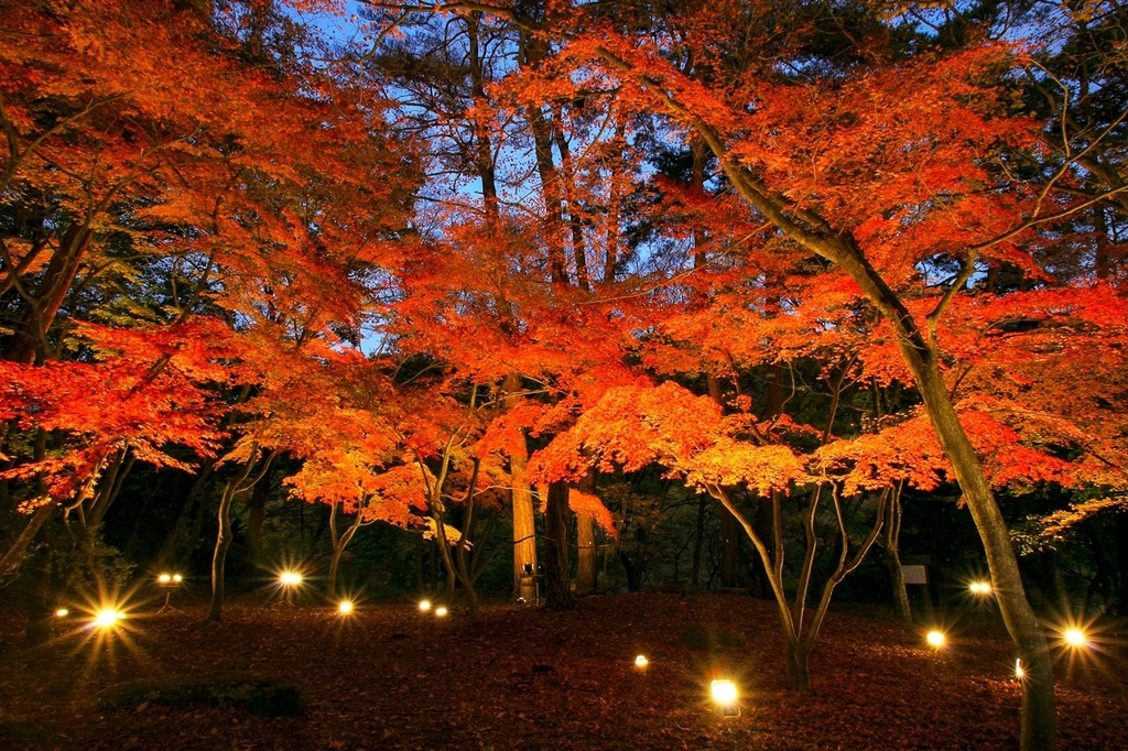 埼玉 下一站之旅 埼玉縣紅葉絕景5選 Megumi的日本旅人塾 痞客邦 埼玉 下一站之旅 埼玉縣紅葉絕景5選 Megumi的日本旅人塾 痞客邦