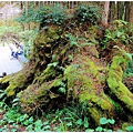 DSC08480.jpg