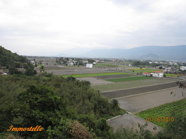 自半山眺望關山的田園風光