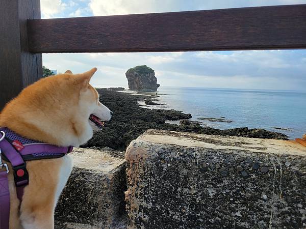 我與多莉的機車旅行♥環恆春半島初體驗