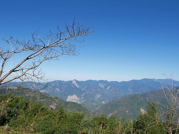 高雄市桃源區│寶山二集團櫻花公園★第一次騎車上藤枝賞櫻記