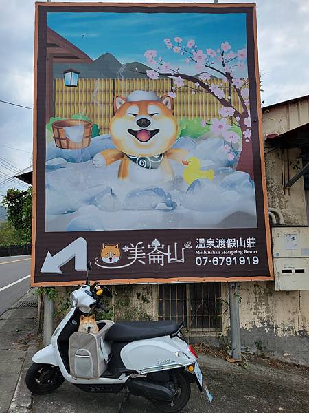 台東縣海端鄉│南橫埡口★我與多莉的初訪南橫公路遊記