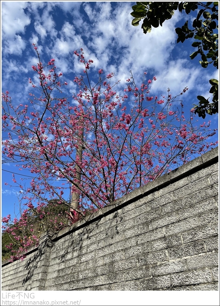 IMG_6684.JPG IMG_6684.JPG