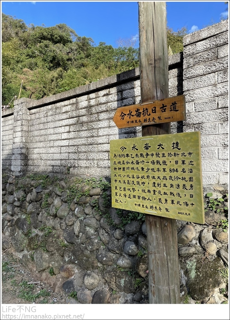 IMG_6685.JPG IMG_6685.JPG