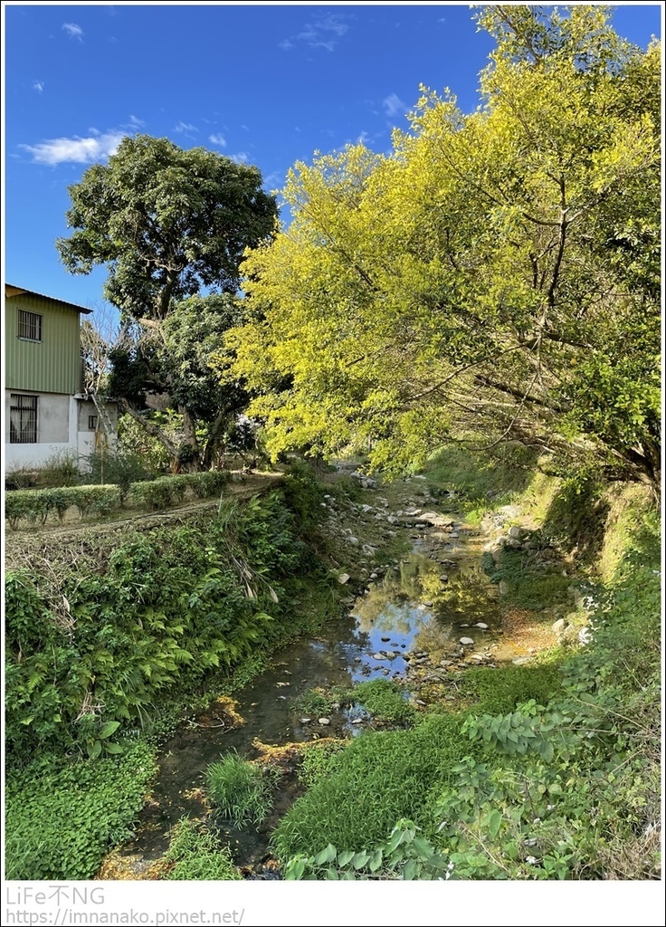 IMG_6686.JPG IMG_6686.JPG