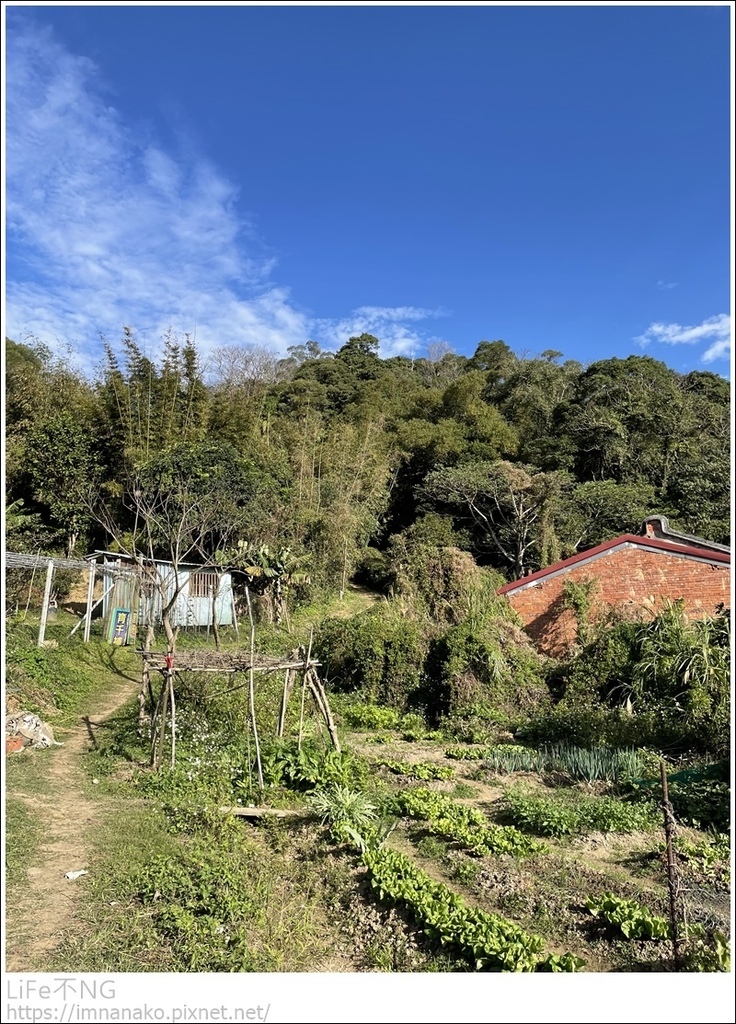 IMG_6694.JPG IMG_6694.JPG