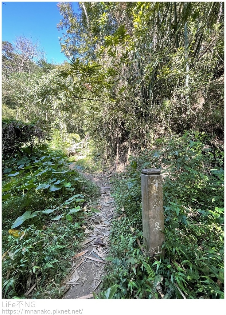 IMG_6697.JPG IMG_6697.JPG